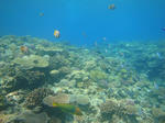 DSC07280minna.jpg