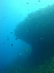 DSC07626onna.jpg