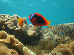 syukuIMG_6247.jpg