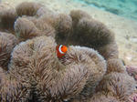 syukuIMG_7731.jpg