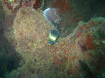syukuIMG_7736.jpg