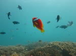 syukuIMG_7946.jpg