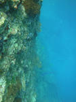 DSC00131onna.jpg