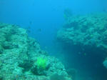 DSC00116onna.jpg