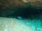 DSC00112onna.jpg
