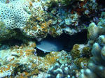 DSC00465kerama.jpg