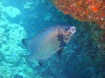 DSC01292maeda.jpg