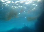 DSC01215maeda.jpg