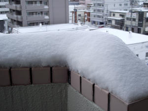 積もった雪