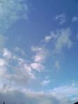 070510_172935.JPG