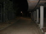 CIMG1780.JPG