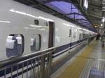 CIMG2154.JPG