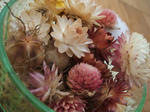DSCF6360a.JPG