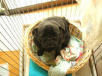 DSCF6599a.JPG