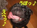 DSCF3217b.gif