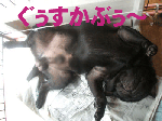 DSCF3209a.gif