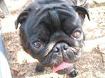 DSCF4257.JPGa.jpg