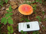 DSC00456.JPG