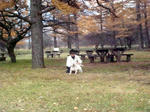 DSC00515-1.JPG