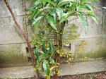 DSC00547.JPG
