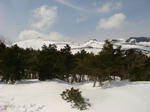 DSC00833.JPG