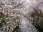 DSC04030.JPG