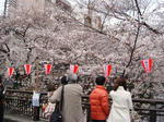 DSC04031.JPG
