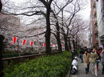 DSC04032.JPG