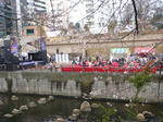 DSC04033.JPG