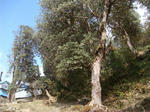 DSC05631.JPG