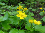 DSC00645.jpg