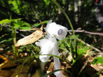 DSC00712.jpg