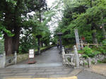 DSC00767.jpg