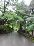 DSC00752.jpg