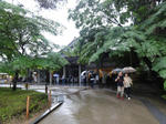 DSC00751.jpg