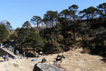 P1000290.jpg