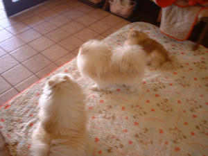 DSCF0025.JPG