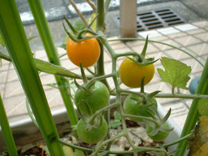 DSCF0022.JPG
