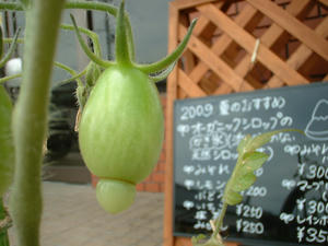 DSCF0021.JPG