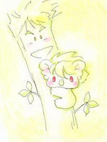 コアラ・ブルー