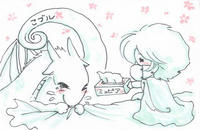 こブル・・・これで、かみたまえ