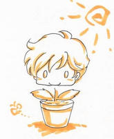 世界に一つだけの花♪