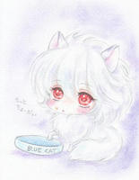 ペルシャ猫ブルー