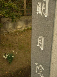 P1208655shuusei.JPG