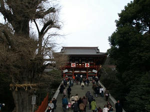 P1208852shuusei.JPG