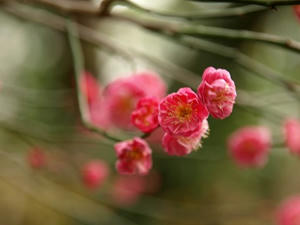 P1208857shuusei.JPG