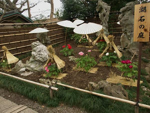 P1208830shuusei.JPG