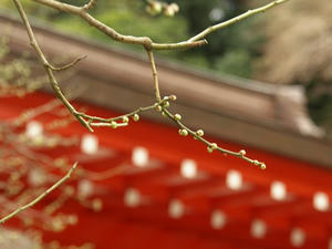 P1208875shuusei.JPG