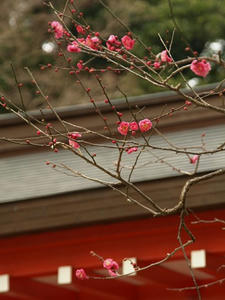 P1208865shuusei.JPG