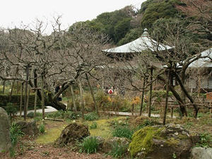 P1208912shuusei.JPG